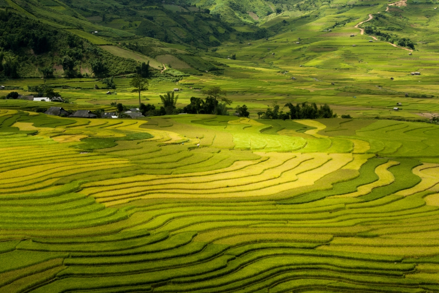 Laos